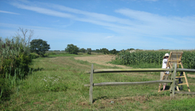 , What’s in the name Sagaponack?, Town &amp; Country Real Estate