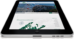 , Internet Marketing, Town &amp; Country Real Estate